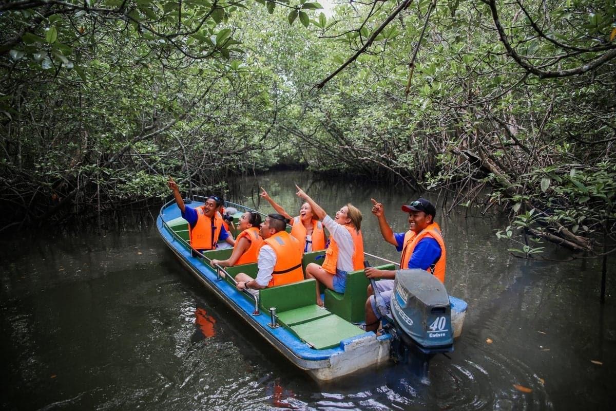 Mangrove tour