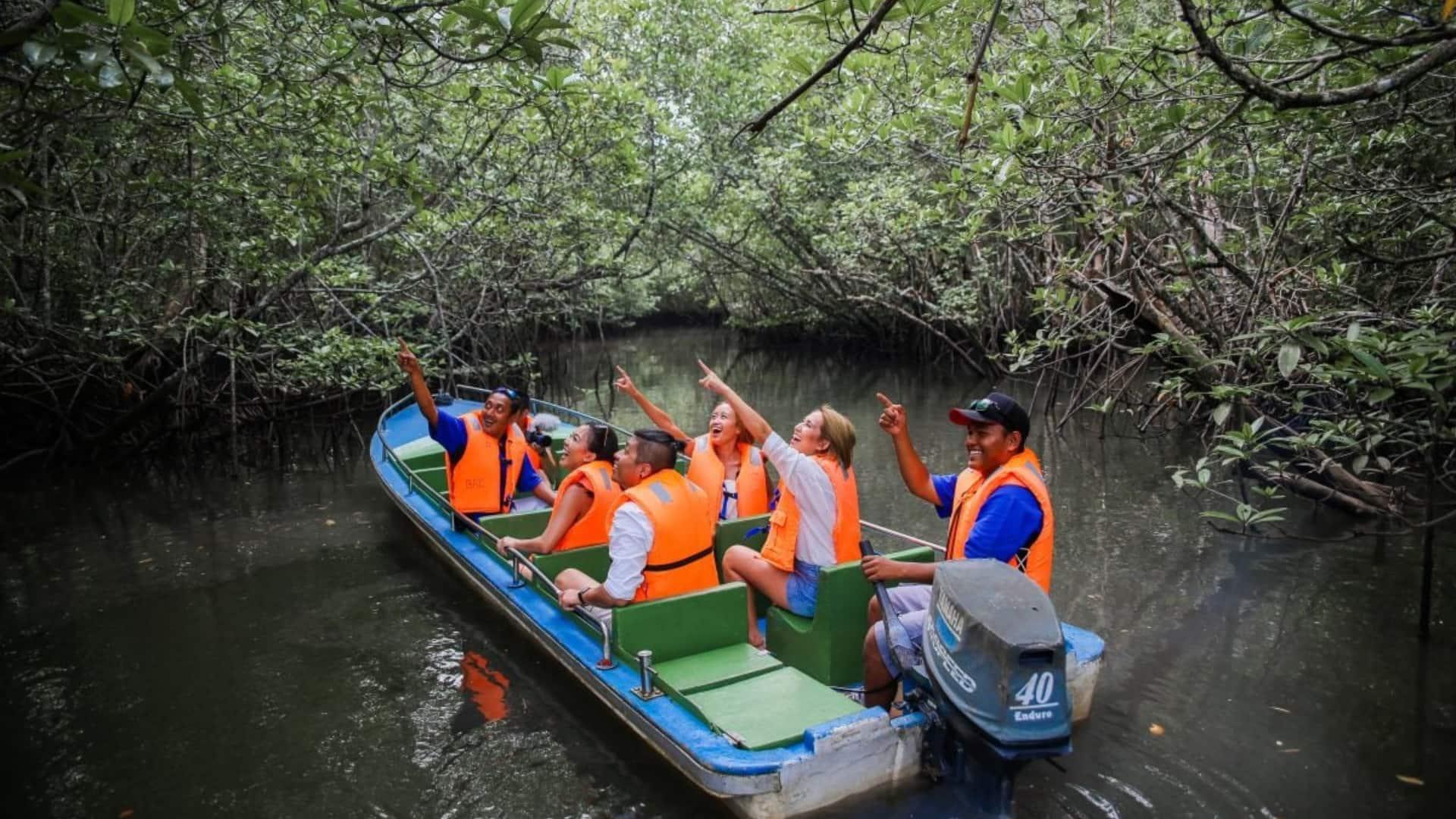 Bintan Mangrove Tour