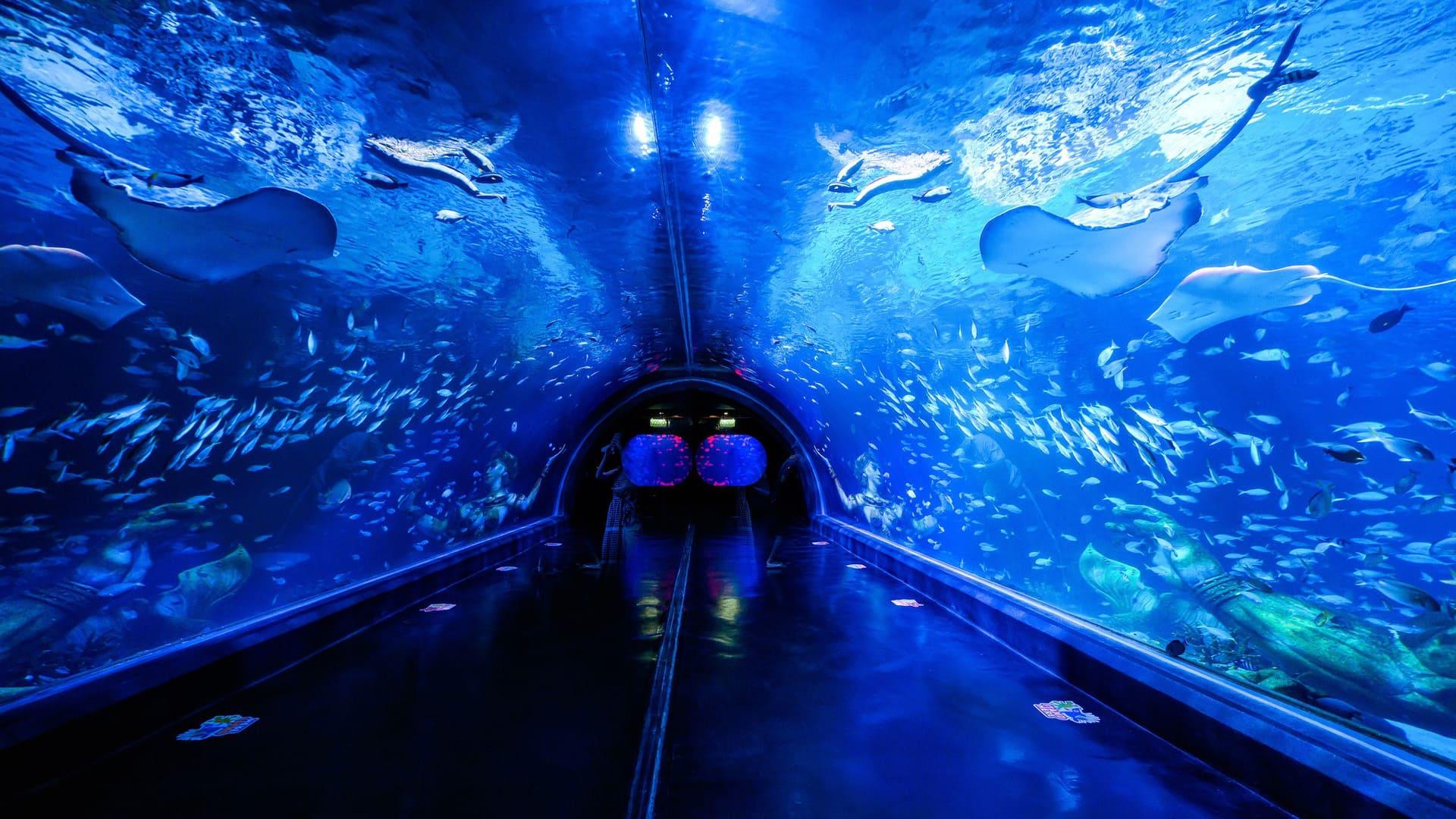 Aquaria Phuket