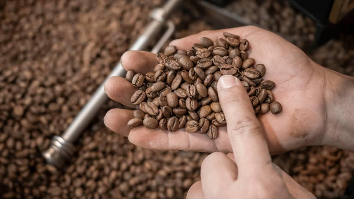 Coffee history in Phuket 