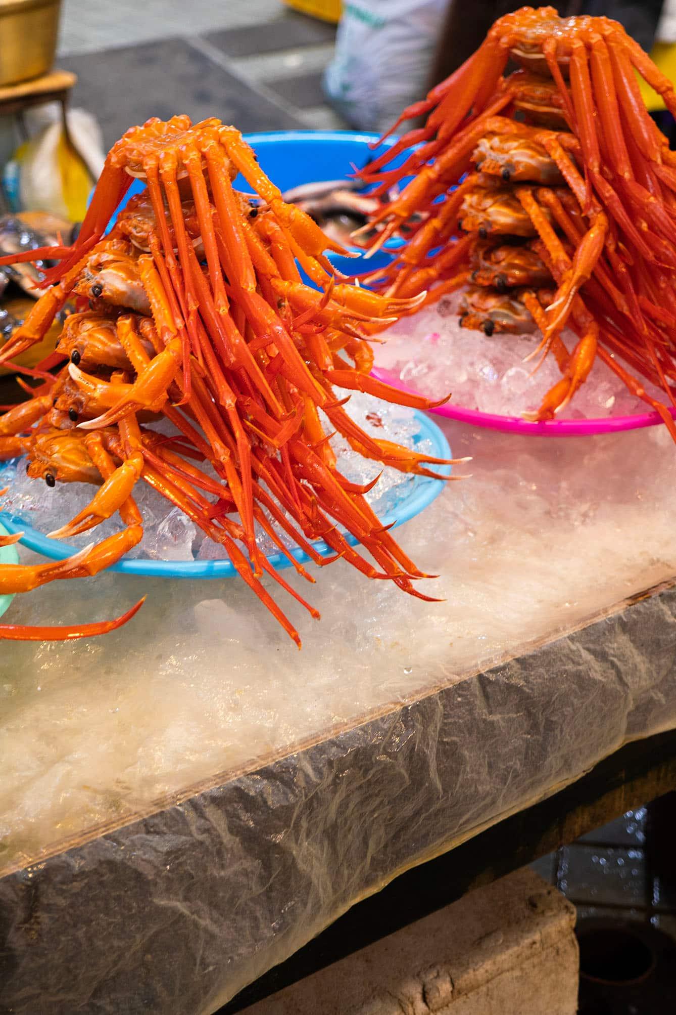 Sokcho Tourist & Fishery Market