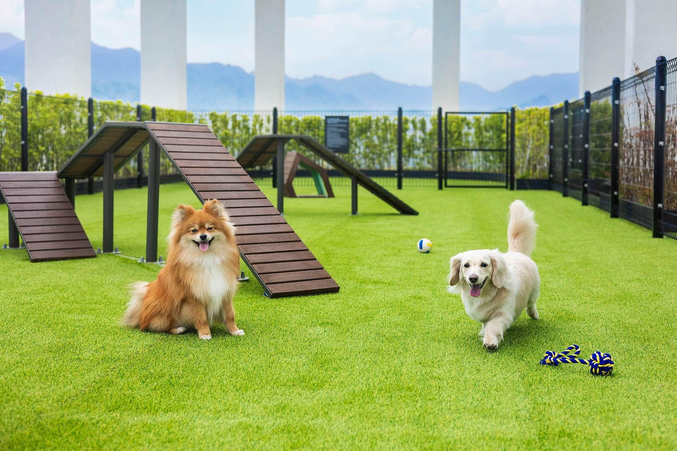 Pet package