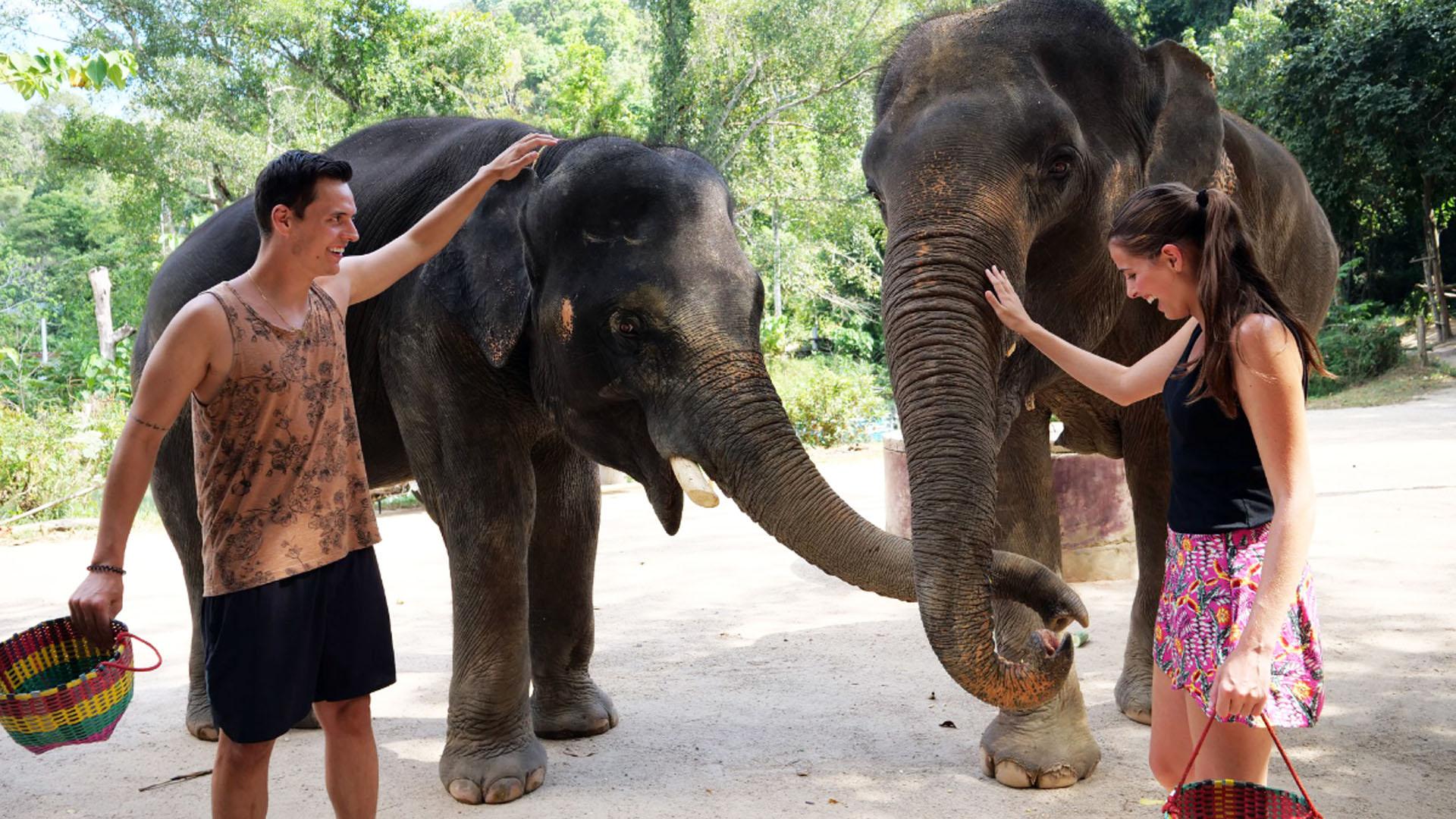 Experiences Elephant Wildlife Sanctuary Phuket-Banner image