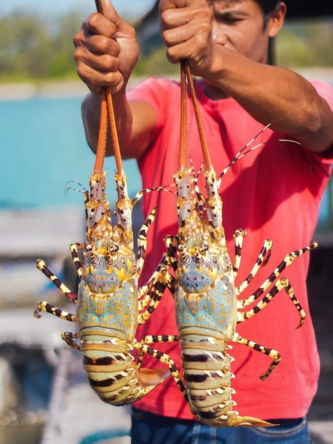 Where to Eat in Phuket